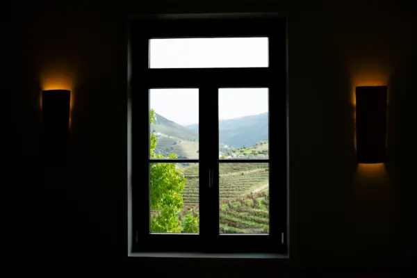 Douro-Vally-Tour-Wine-Tastings