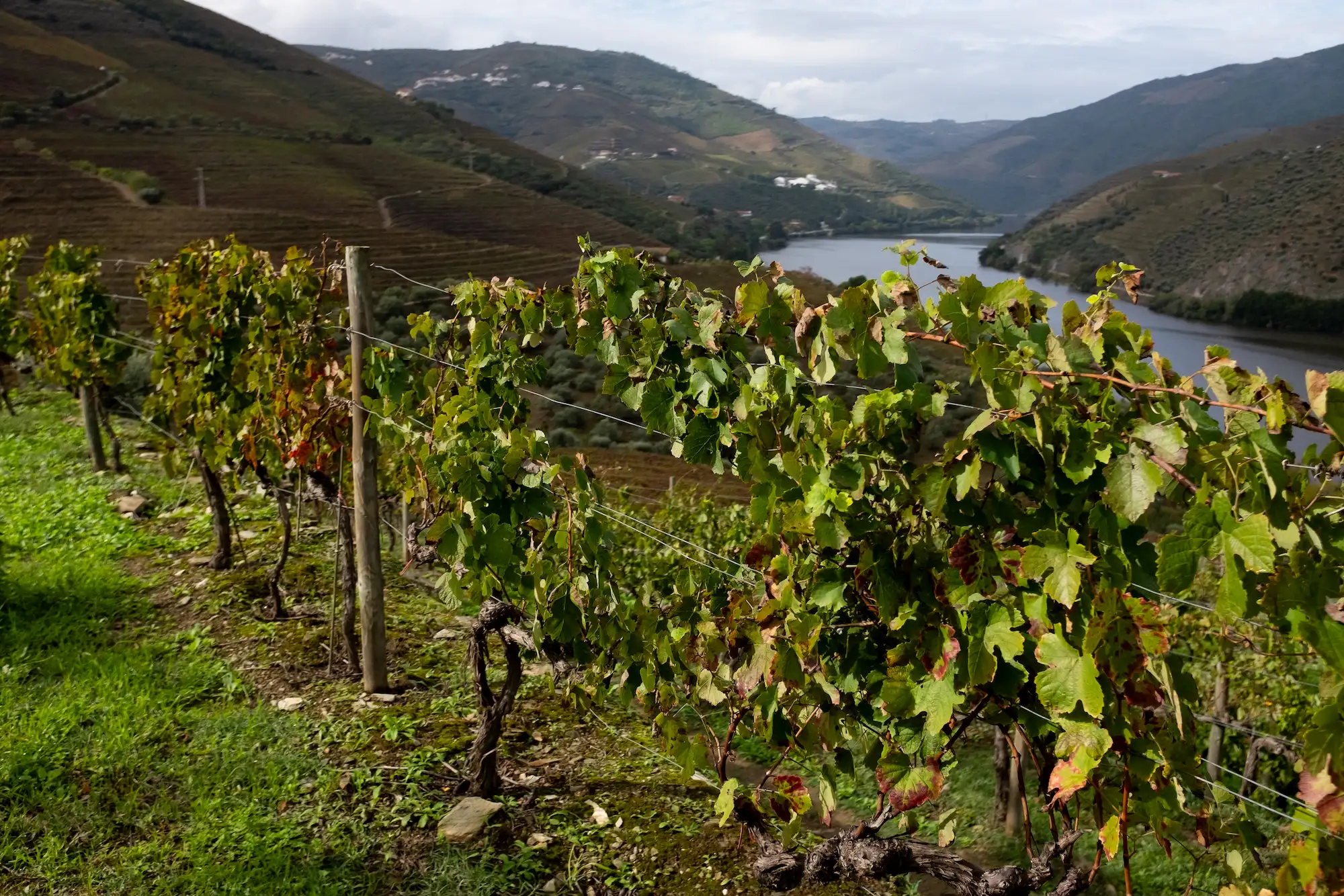 Walking-Tour-Douro-Valley