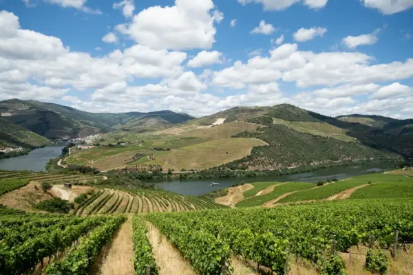 iTravelPortugal-winetour