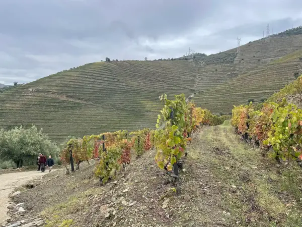 Trail-Taste-Douro-Valley